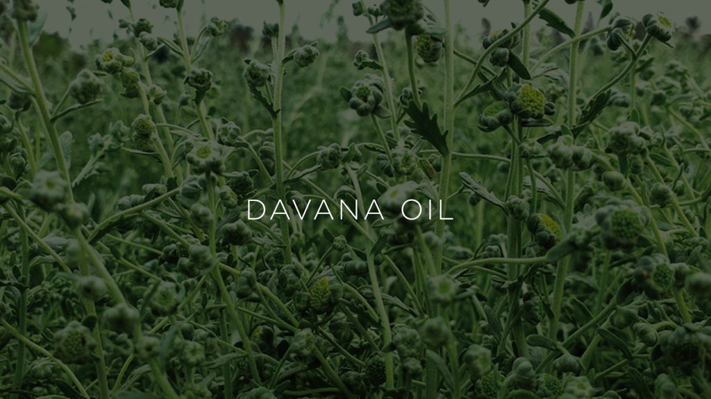 Davana OIl Manufacturer