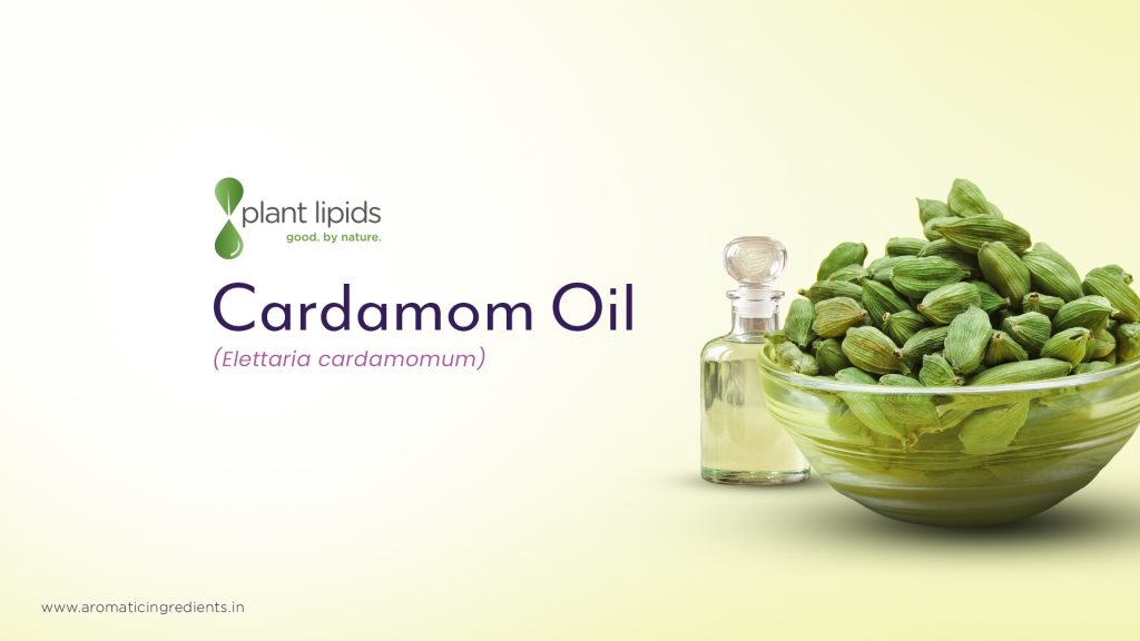 Cardamom oil Manufacturer