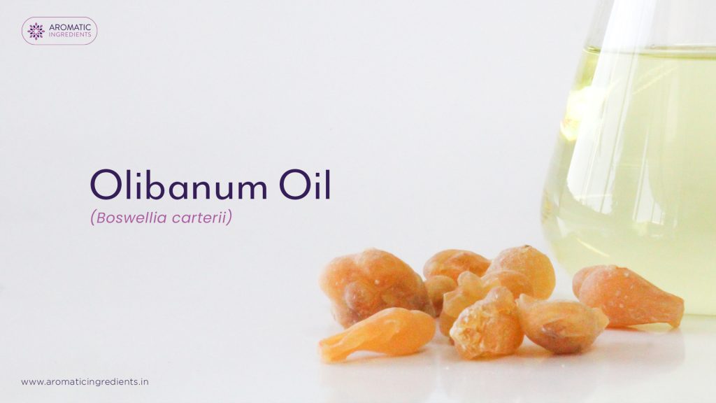 Olibanum oil manufacturer
