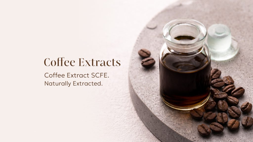 Coffee Extract Manufacturer